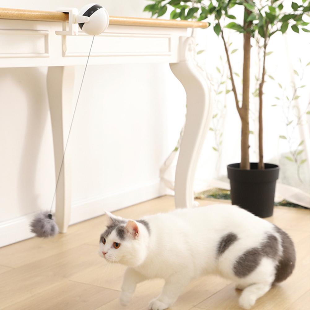 Electronic Motion Cat Teaser Toy