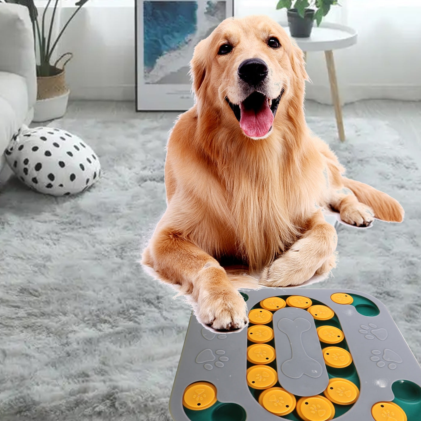 Dog Puzzle Toy and  Slow Feeder