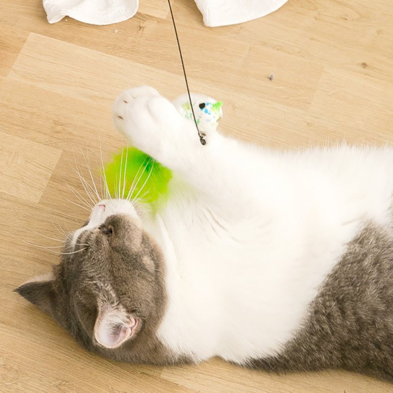Funny Interactive Cat Toy
