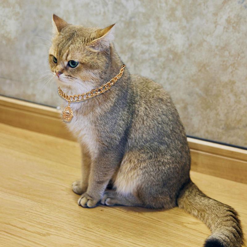 Bell Fashion Jewelry For Cats