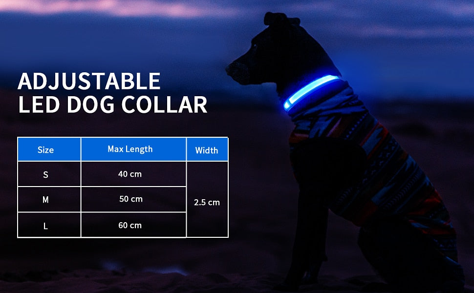 High Visibility Dog Night Safety Collar